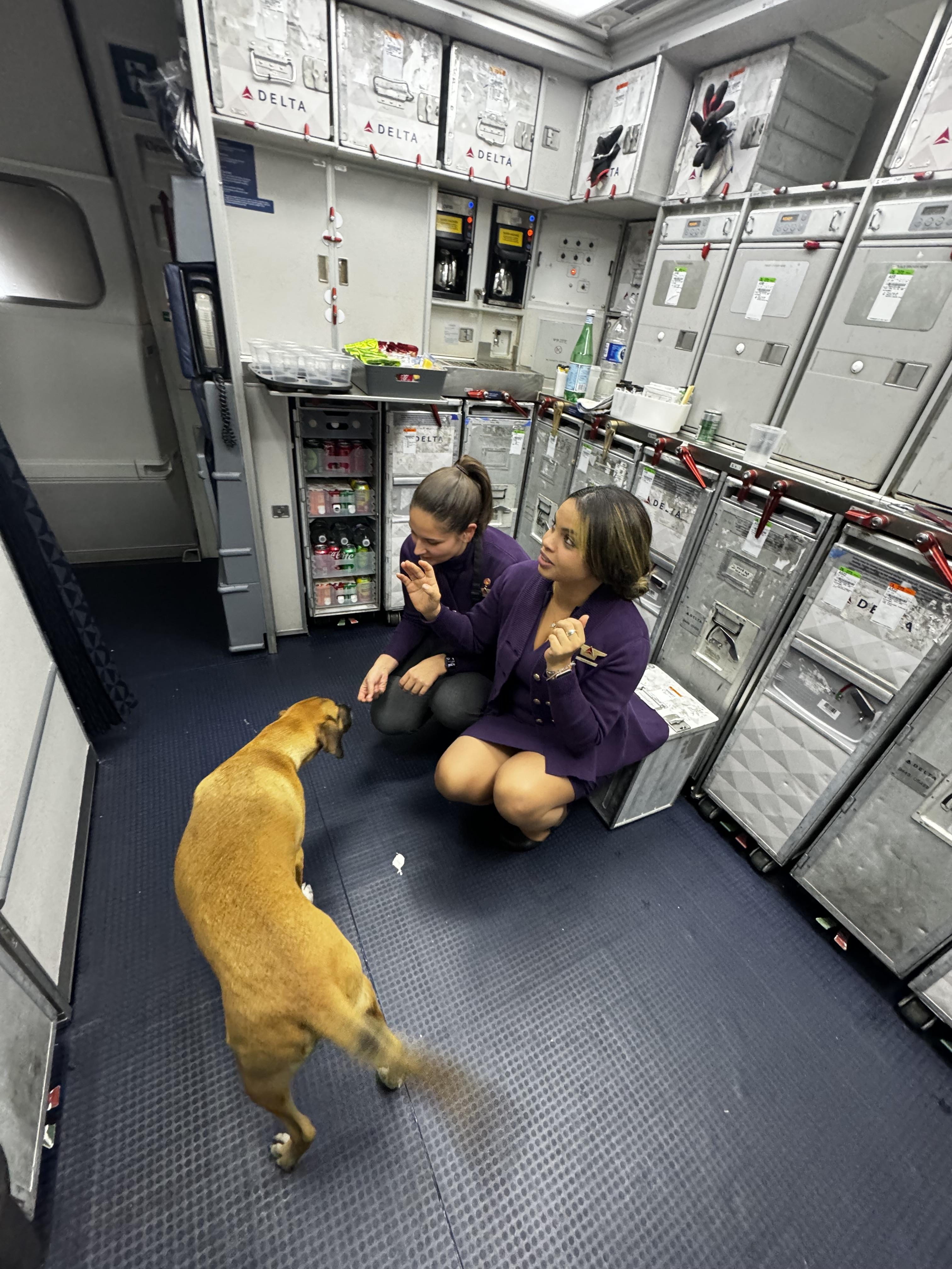 A flight attendant saying hi to Copper